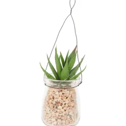 Kunstplanten & -Bloemen>Merk Absolu Chic Kunstvetplant In Hangpot Transparant,Groen