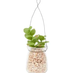 Kunstplanten & -Bloemen>Merk Absolu Chic Kunstvetplant In Hangpot Transparant,Groen