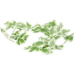 Woonaccessoires><noscript><img width=