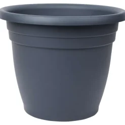 Bloempotten><noscript><img width=