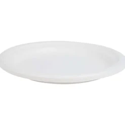 Feestartikelen>Merk Borden Van Bagasse Wit