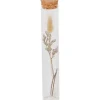 Woonaccessoires>Merk Buisje Met Droogbloemen
