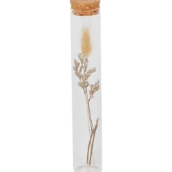 Woonaccessoires>Merk Buisje Met Droogbloemen