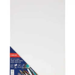 Schilderen>Van Bleiswijck Canvasdoeken-Set