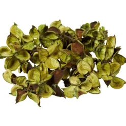 Kunstplanten & -Bloemen><noscript><img width=