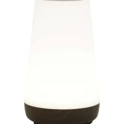 Lampen>LSC Smart Connect Deluxa Touch Lamp