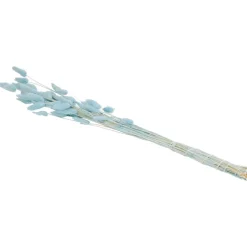 Zaaien & Planten><noscript><img width=