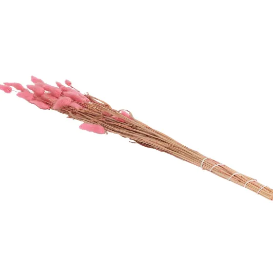 Zaaien & Planten>Green Boots Droogboeket Beige,Blauw,Bruin,Roze,Paars