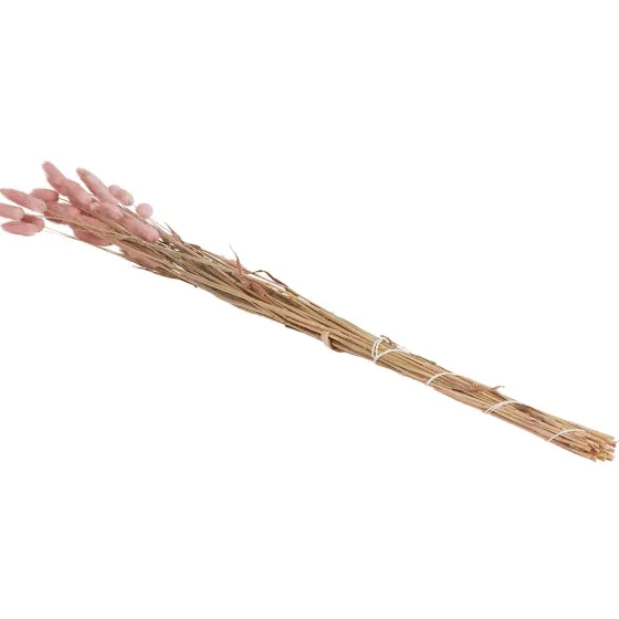Zaaien & Planten>Green Boots Droogboeket Beige,Blauw,Bruin,Roze,Paars