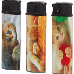 Bbq & Accessoires><noscript><img width=