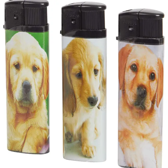 Bbq & Accessoires>Lone Star Elektrische Aanstekers Print