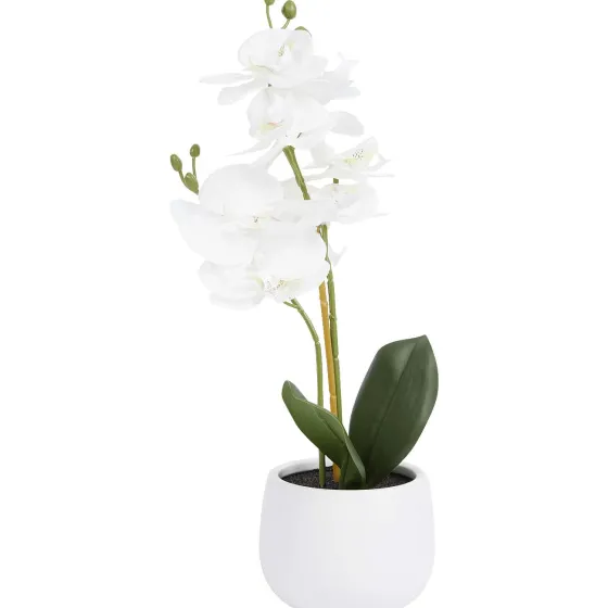 Kunstplanten & -Bloemen>Merk Excellent Flowers Kunstorchidee In Pot Roze,Wit