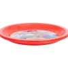 Servies>Merk Feestbordjes Paars,Rood