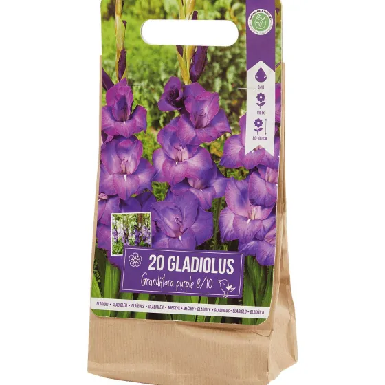 Zaaien & Planten>Green Boots Gladiolen Bloembollen