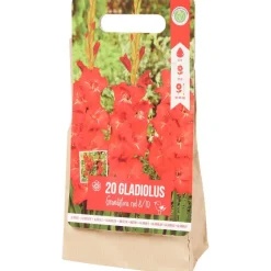 Zaaien & Planten>Green Boots Gladiolen Bloembollen