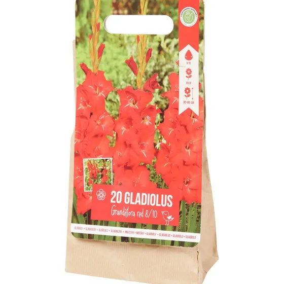 Zaaien & Planten>Green Boots Gladiolen Bloembollen