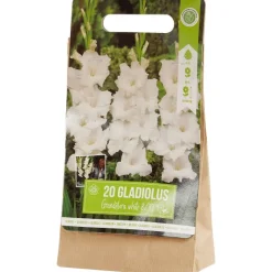 Zaaien & Planten><noscript><img width=
