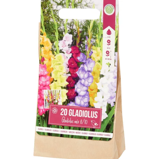 Zaaien & Planten>Green Boots Gladiolen Bloembollen