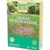 Zaaien & Planten>Green Boots Graszaad Herstelgazon