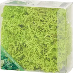 Seizoensdecoratie>Merk Home Accents Decoratief Mos Groen