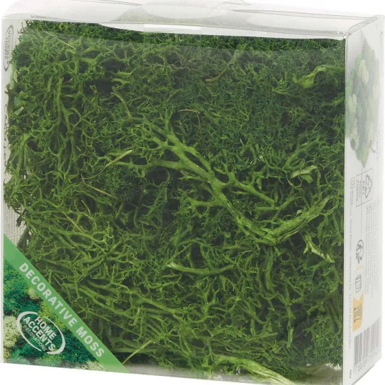 Seizoensdecoratie>Merk Home Accents Decoratief Mos Groen