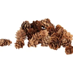 Woonaccessoires><noscript><img width=
