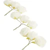 Woonaccessoires>Merk Home Accents Decoratieve Rozen Geel,Rood,Roze,Wit