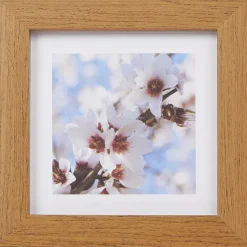 Fotolijstjes>Merk Home Accents Fotolijst Bruin