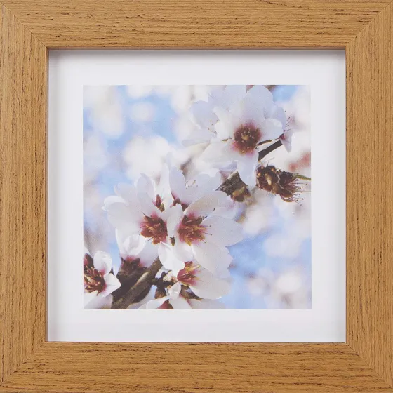 Fotolijstjes>Merk Home Accents Fotolijst Bruin
