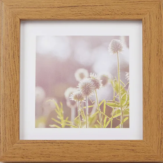 Fotolijstjes>Merk Home Accents Fotolijst Bruin