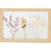 Fotolijstjes>Merk Home Accents Fotolijst Met Droogbloemen Beige
