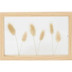 Fotolijstjes>Merk Home Accents Fotolijst Met Droogbloemen Beige