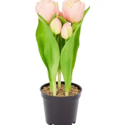 Kunstplanten & -Bloemen><noscript><img width=