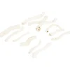 Kunstplanten & -Bloemen>Merk Home Accents Natural Droogmix