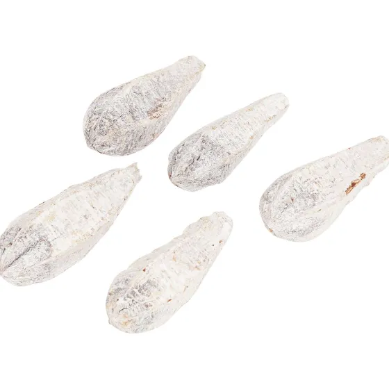 Kunstplanten & -Bloemen>Merk Home Accents Natural Droogmix