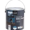 Verf>Van Bleiswijck Home Vision Matte Muurverf Petrol Blauw
