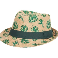 Accessoires><noscript><img width=