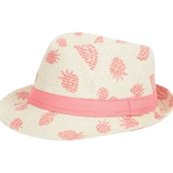 Accessoires><noscript><img width=