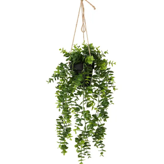 Kunstplanten & -Bloemen>Merk Kunsthangplant Zwart,Groen