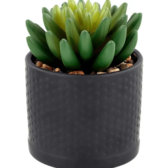 Kunstplanten & -Bloemen>Merk Kunstvetplant In Pot Bruin,Groen,Print,Zwart