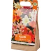 Zaaien & Planten>Green Boots Lelie Bloembollen Rood