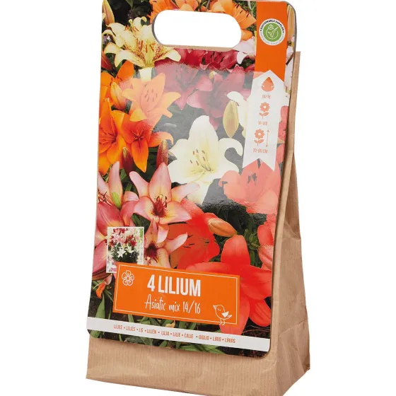 Zaaien & Planten>Green Boots Lelie Bloembollen Rood