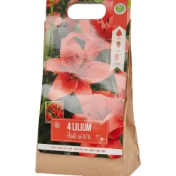 Zaaien & Planten>Green Boots Lelie Bloembollen Rood