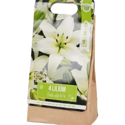Zaaien & Planten><noscript><img width=