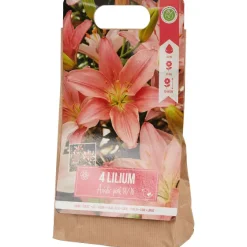Zaaien & Planten><noscript><img width=