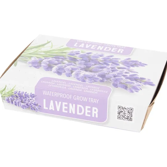 Zaaien & Planten>Green Boots Mini-Kweekset