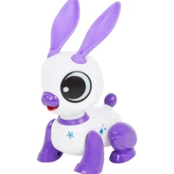 Spellen>Mini Matters Mini-Robotdier Blauw,Roze