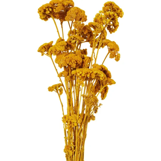 Kunstplanten & -Bloemen>Merk Nederlandse Droog Kunstbloemen