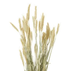 Kunstplanten & -Bloemen><noscript><img width=