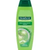 Haarverzorging>Palmolive Shampoo Silky Shine Effect